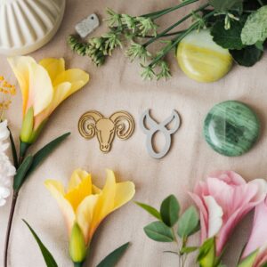 April Star Sign